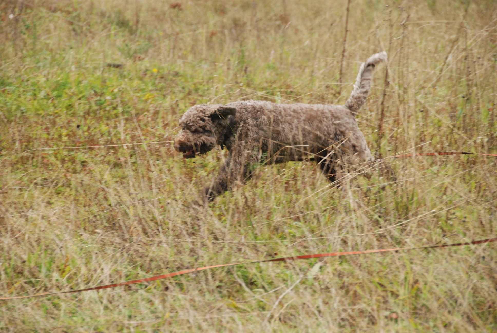 2009-10-03_ntb_9445