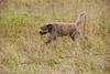 2009-10-03_ntb_9445