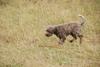 2009-10-03_ntb_9447