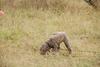 2009-10-03_ntb_9448