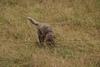 2009-10-03_ntb_9449