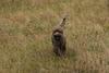 2009-10-03_ntb_9450