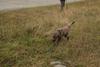 2009-10-03_ntb_9451