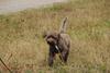 2009-10-03_ntb_9452