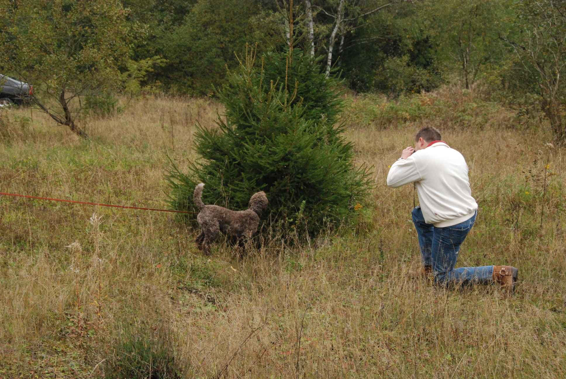 2009-10-03_ntb_9453
