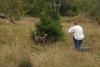 2009-10-03_ntb_9453