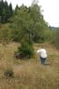 2009-10-03_ntb_9454