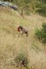 2009-10-03_ntb_9456