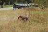 2009-10-03_ntb_9457