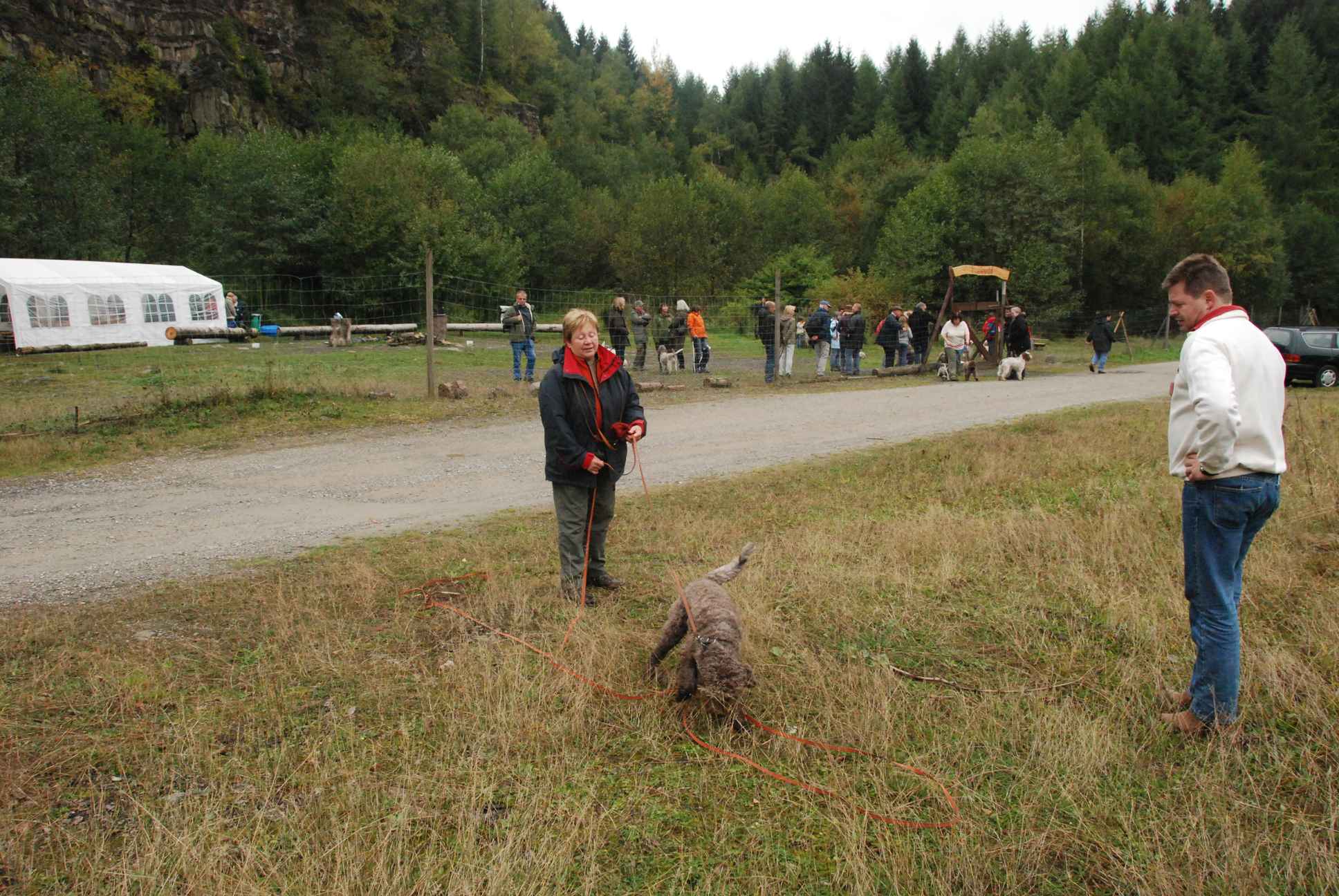 2009-10-03_ntb_9462