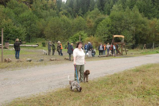 2009-10-03_ntb_9467
