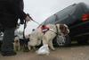 2009-10-03_ntb_9469