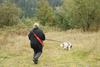 2009-10-03_ntb_9470