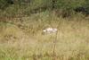 2009-10-03_ntb_9473