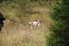 2009-10-03_ntb_9474