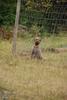 2009-10-03_ntb_9475