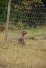 2009-10-03_ntb_9476