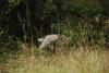 2009-10-03_ntb_9478