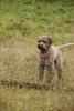 2009-10-03_ntb_9479