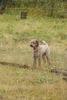 2009-10-03_ntb_9480