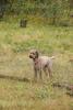 2009-10-03_ntb_9481