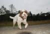 2009-10-03_ntb_9484