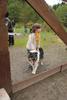 2009-10-03_ntb_9486