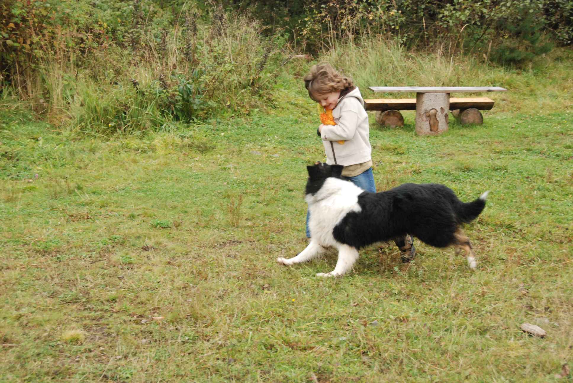 2009-10-03_ntb_9489