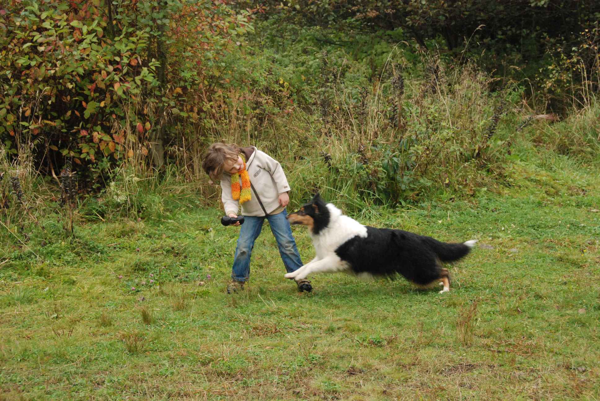 2009-10-03_ntb_9498