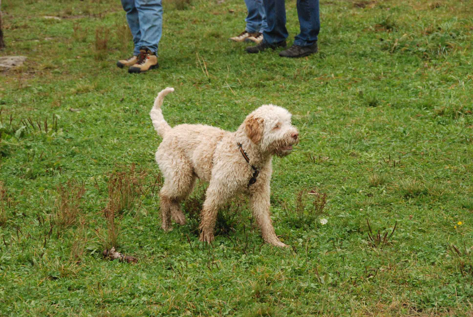 2009-10-03_ntb_9507