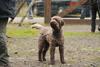 2009-10-03_ntb_9536