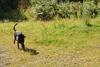 2009-08-23_ntb_6555