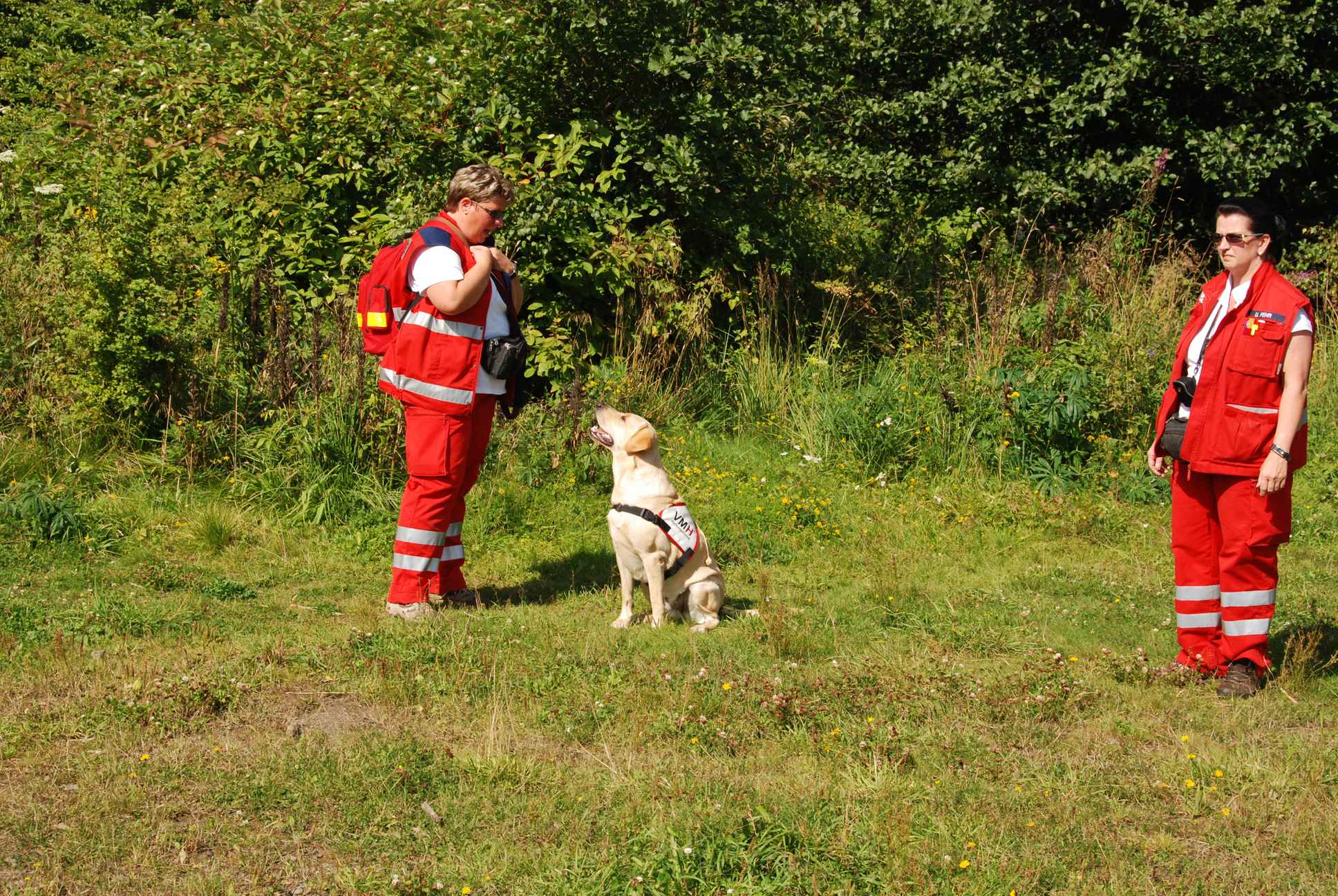 2009-08-23_ntb_6603
