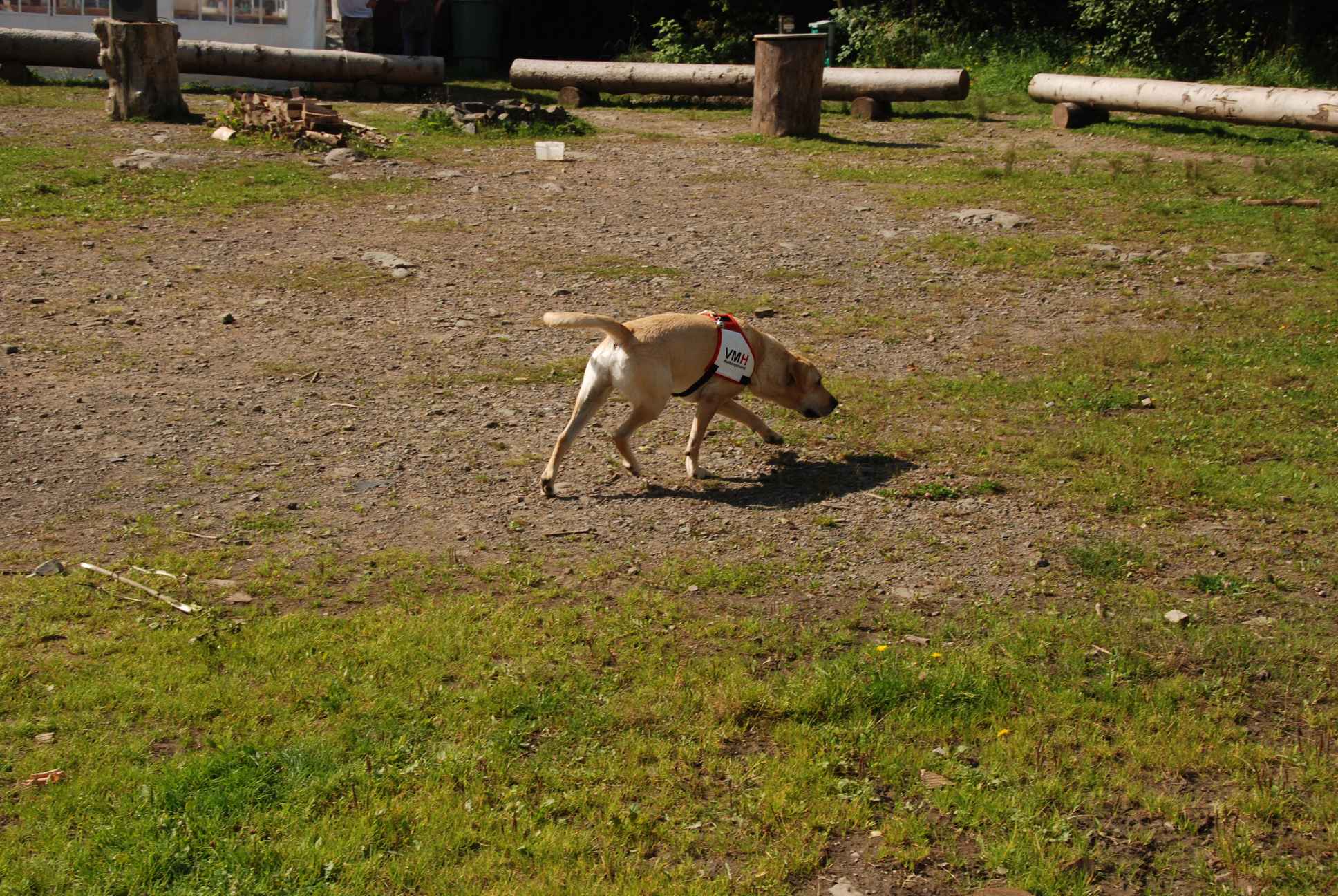 2009-08-23_ntb_6605