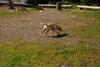 2009-08-23_ntb_6605