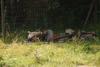 2009-08-23_ntb_6608
