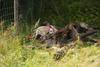 2009-08-23_ntb_6609