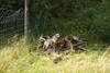 2009-08-23_ntb_6612