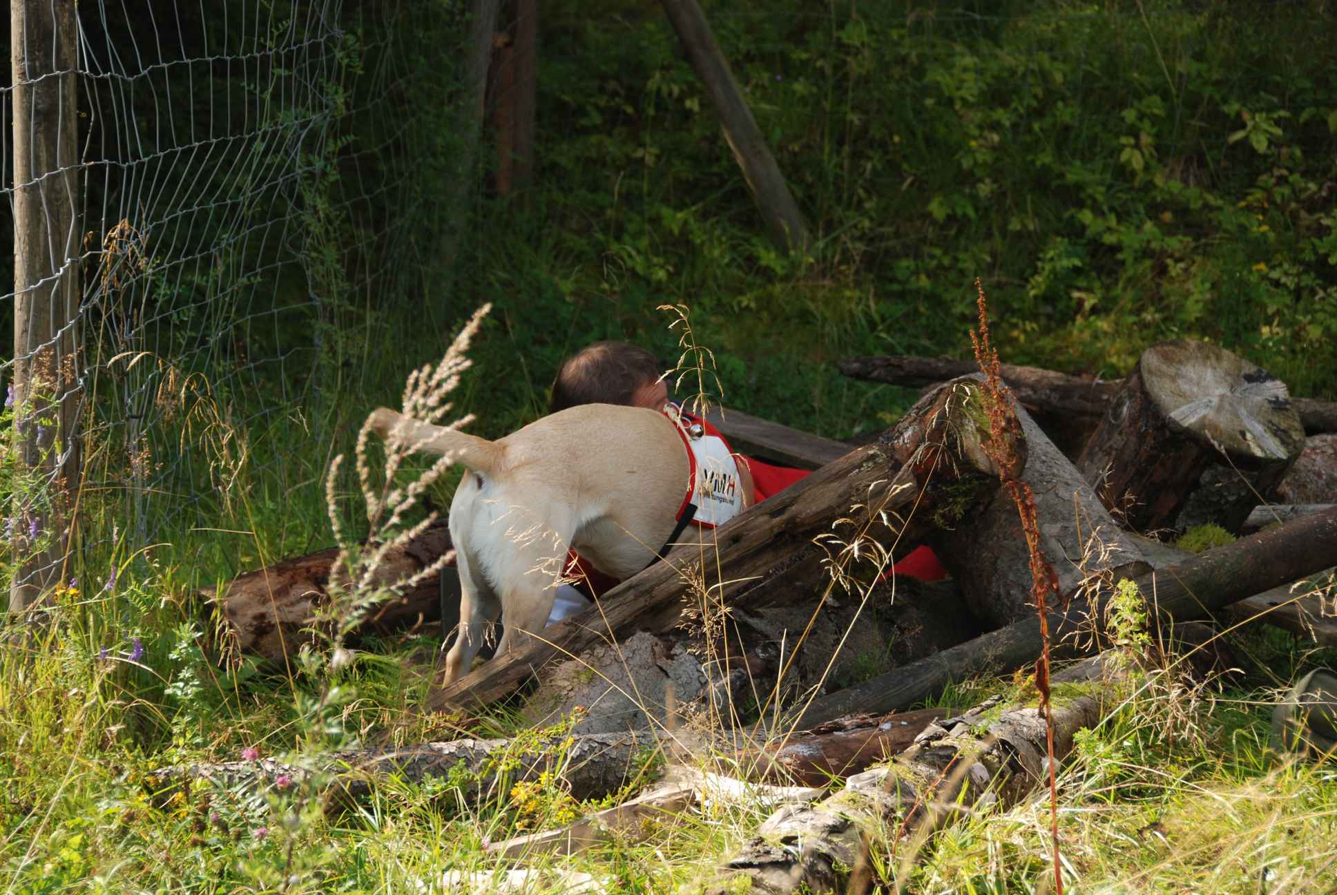 2009-08-23_ntb_6613
