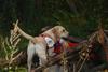 2009-08-23_ntb_6614