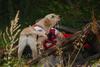 2009-08-23_ntb_6615