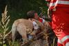 2009-08-23_ntb_6616