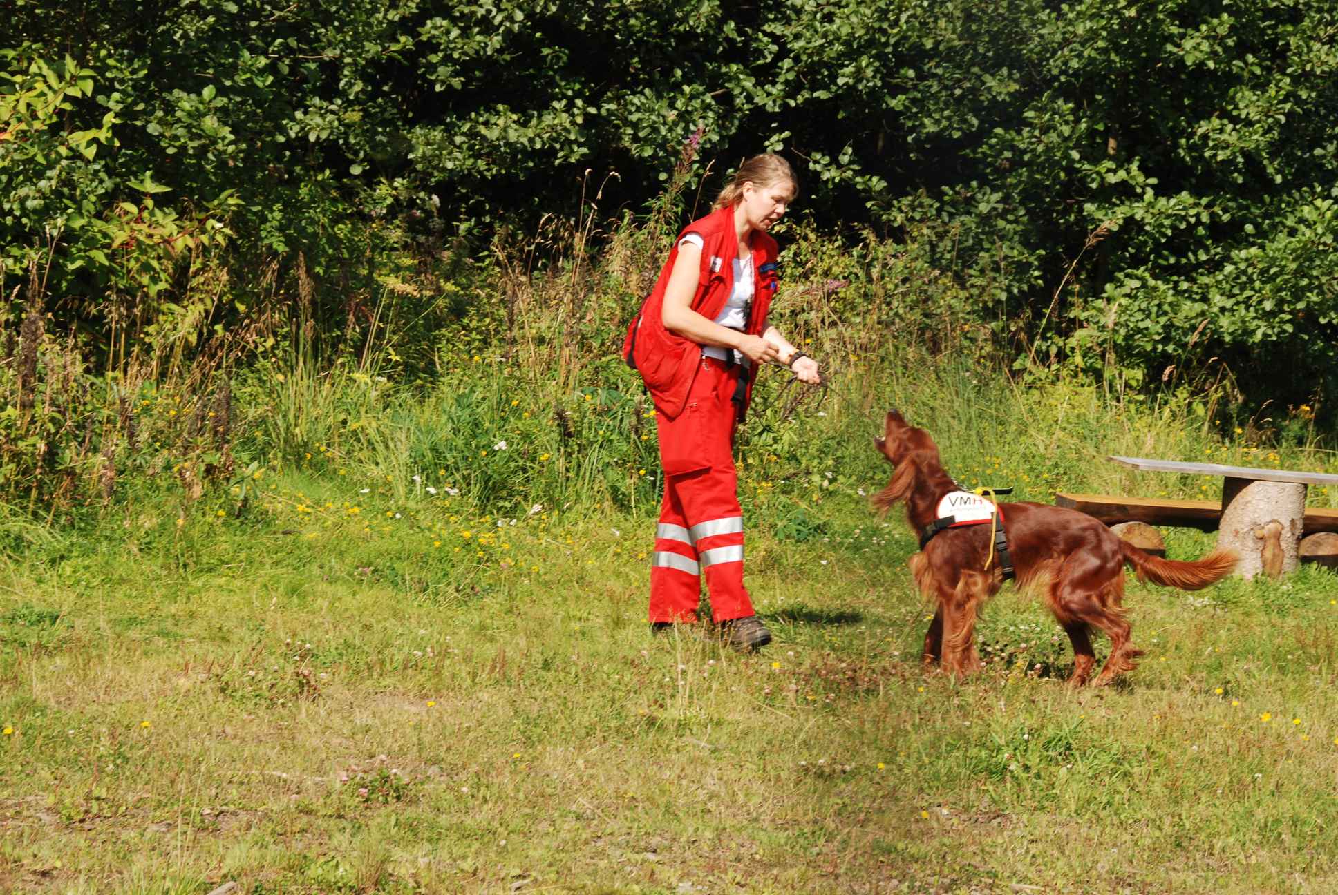2009-08-23_ntb_6624