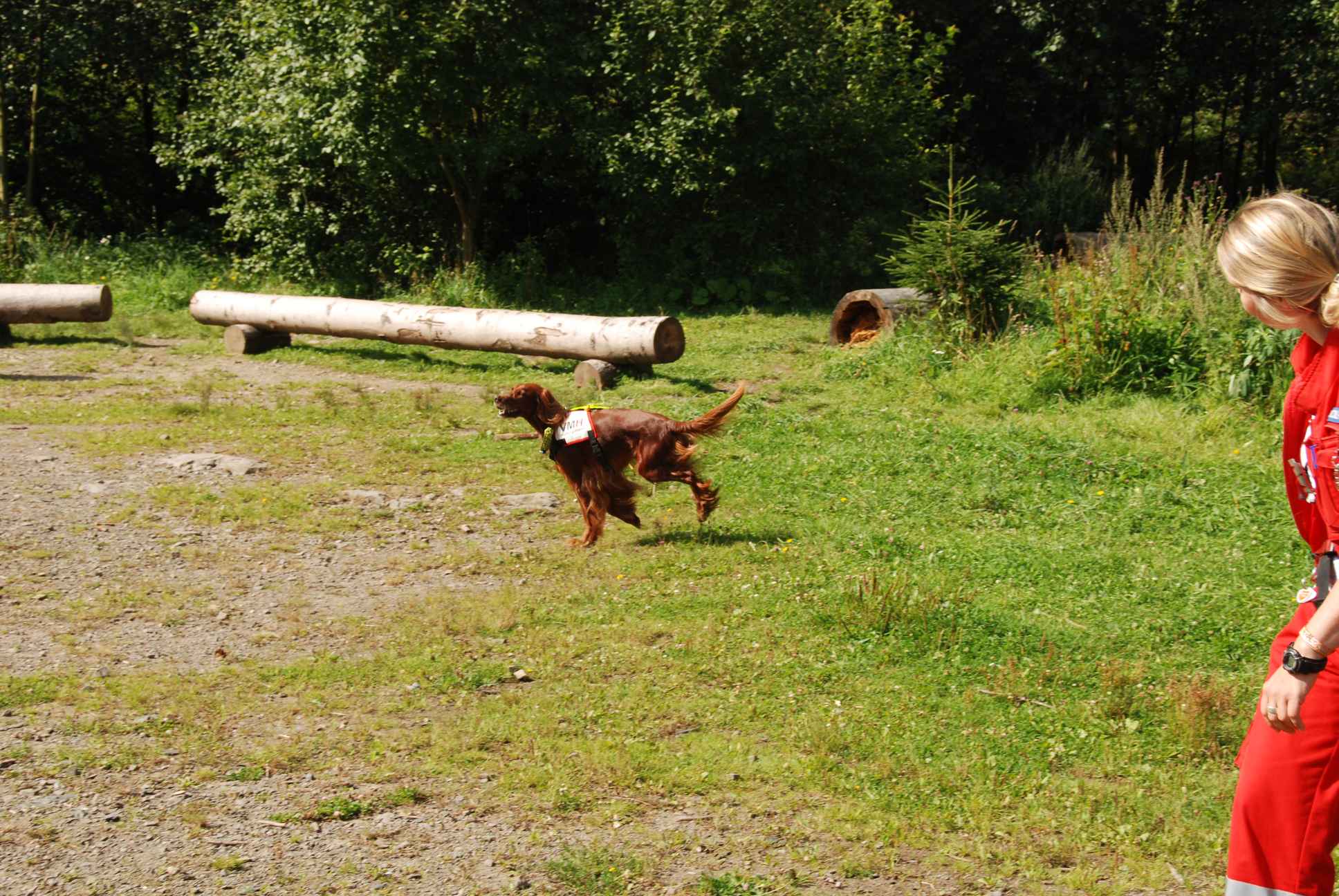 2009-08-23_ntb_6630