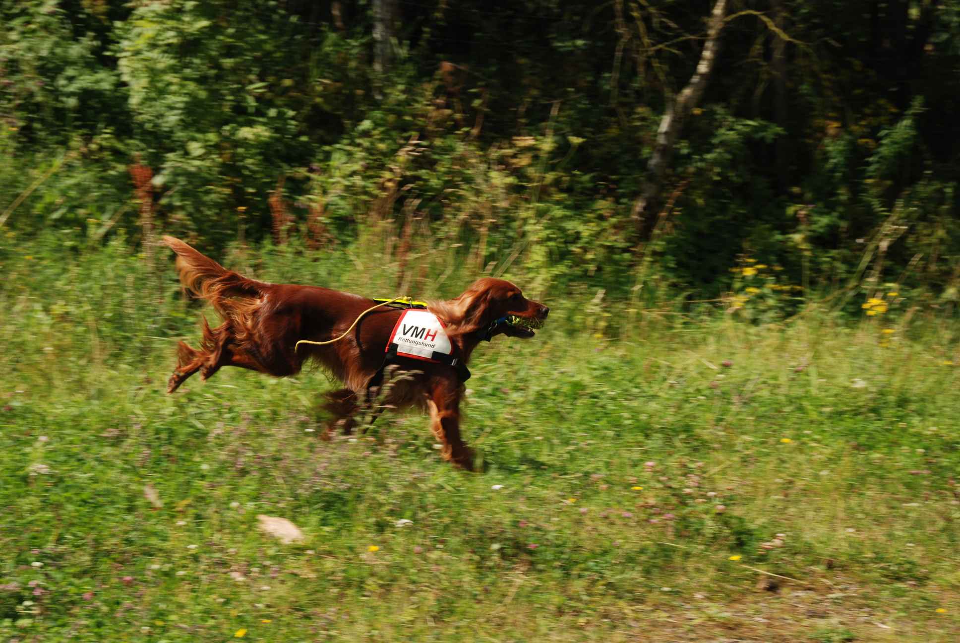 2009-08-23_ntb_6632