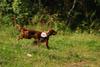 2009-08-23_ntb_6632