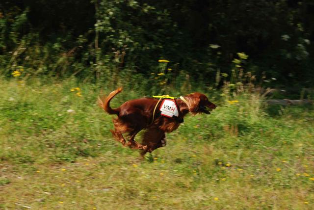 2009-08-23_ntb_6633