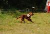 2009-08-23_ntb_6634