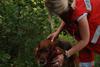 2009-08-23_ntb_6646