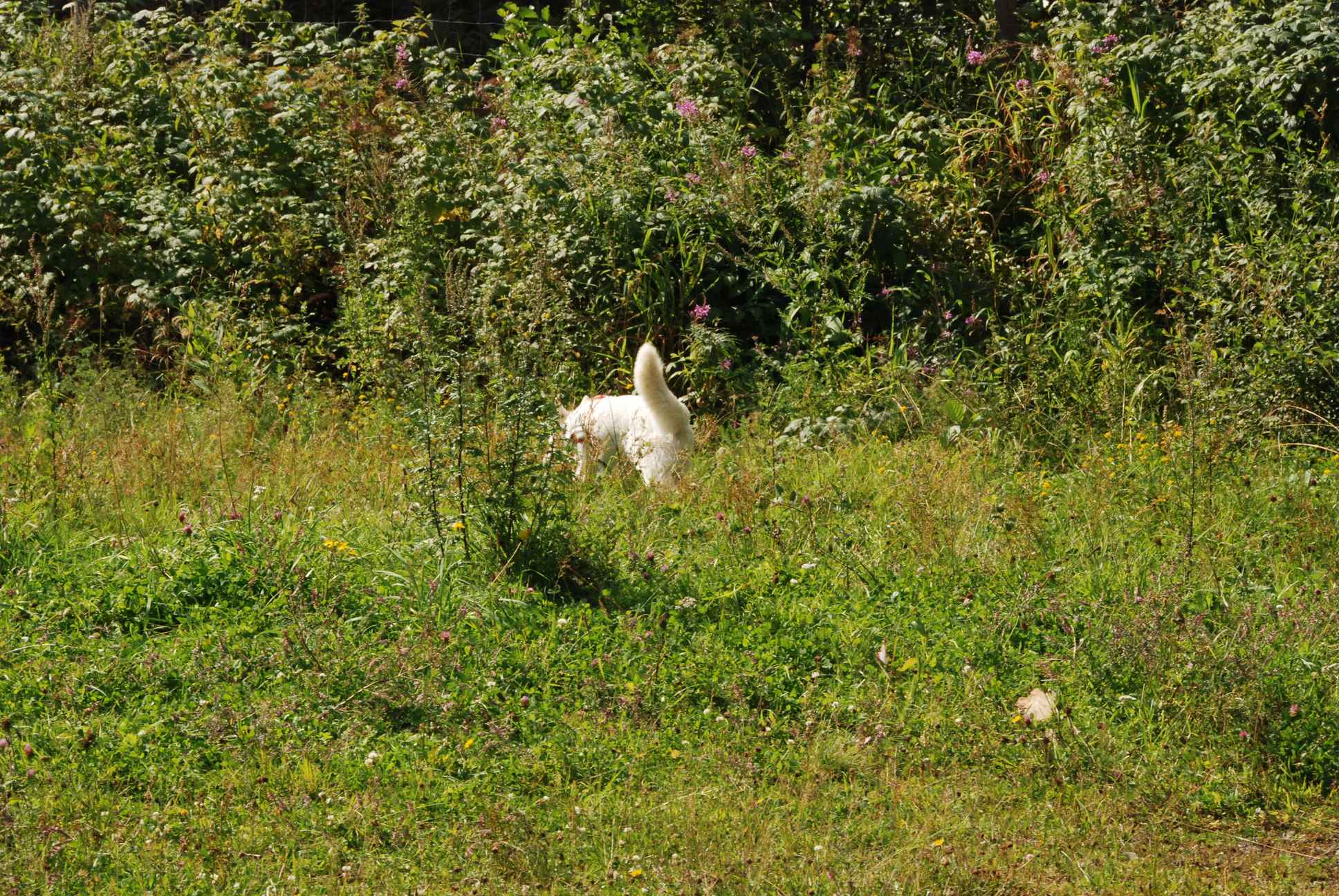 2009-08-23_ntb_6649